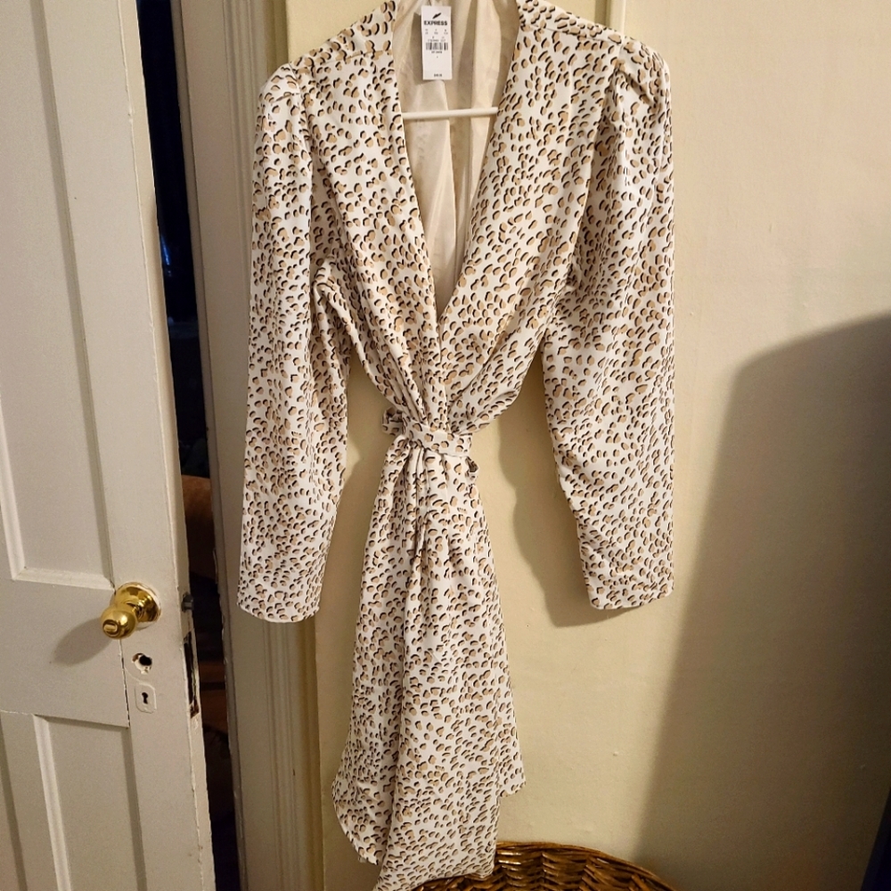 Express leopard print wrap dress